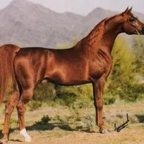 BRONNZ