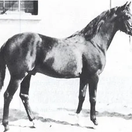 ALMANZOR