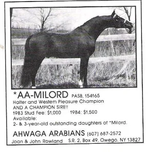 AA-Milord