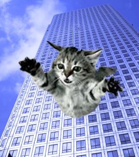 High-Rise Syndrome - 9 Lives Doesn't Count!