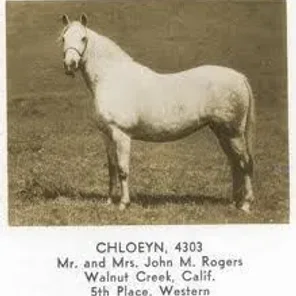 CHLOEYN
