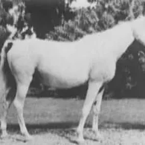 KAMLA