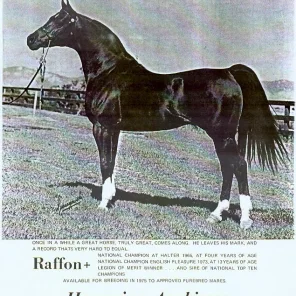 RAFFON