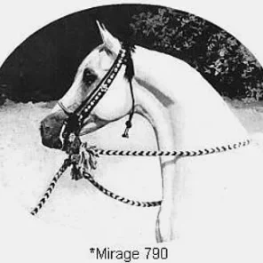 *MIRAGE