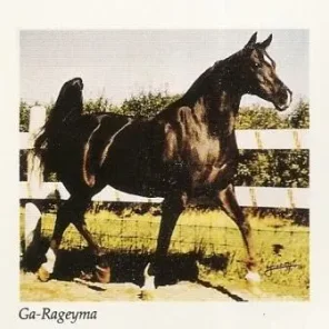 Ga-Rageyma