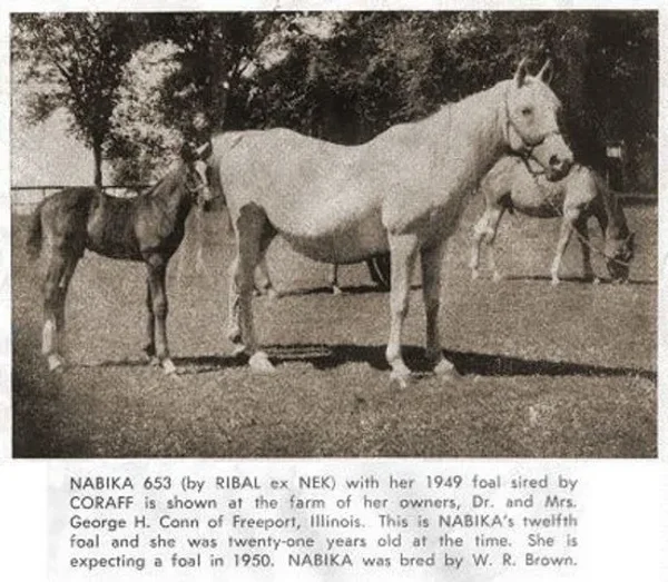 Nabika