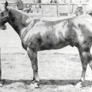 Bill Cody