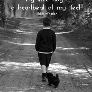 Famous Quotes about Pets