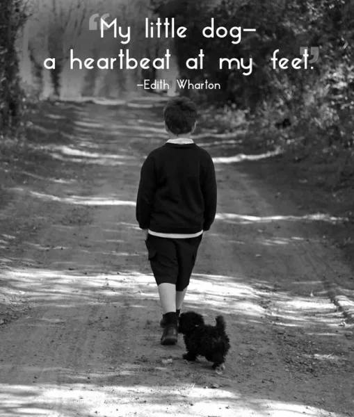 My Little Dog by Edith Wharton