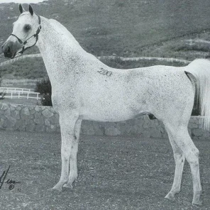 Zloty Potok