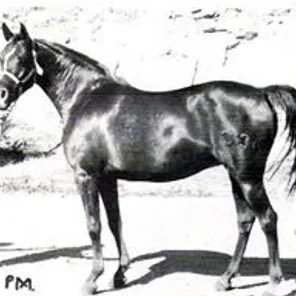 Orla II