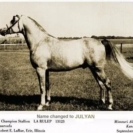 Julyan