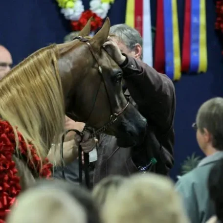 The very beautiful National Champion...Trussardi!