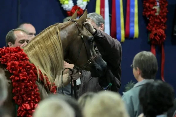 The very beautiful National Champion...Trussardi!