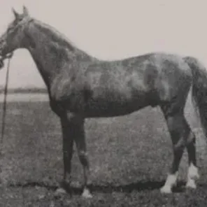 Dzingishan III