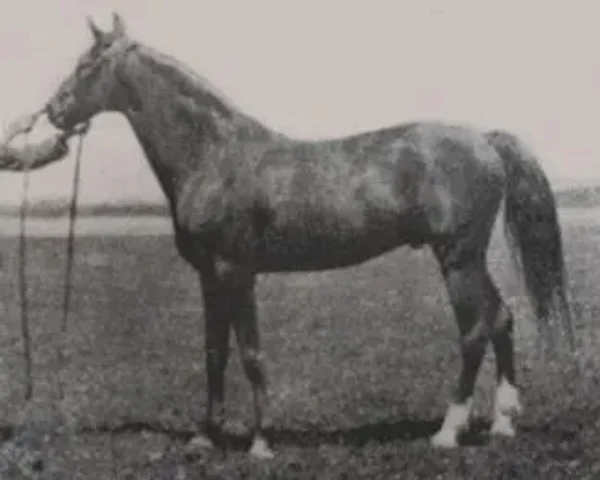 Dzingishan III