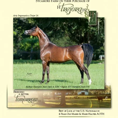 I just receive this e-mail blast congratulating you all on the purchase of Trejora…WOW she’s beautiful!!!