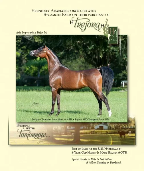 I just receive this e-mail blast congratulating you all on the purchase of Trejora…WOW she’s beautiful!!!