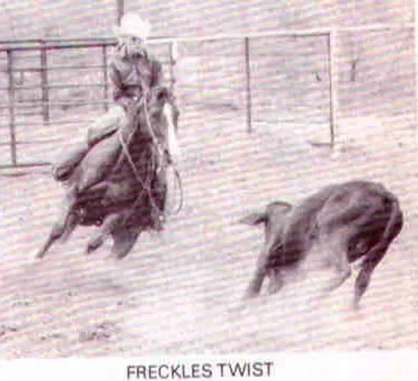 Freckles Twist