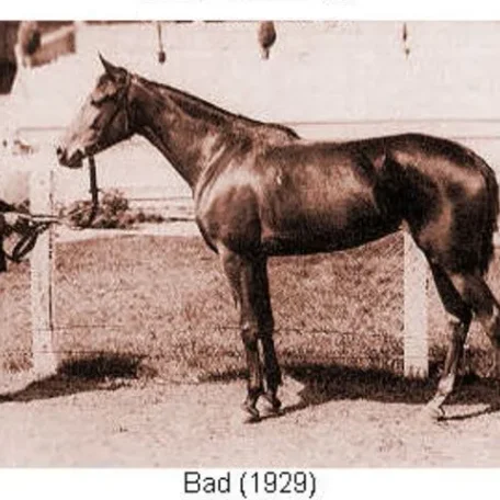 BAD