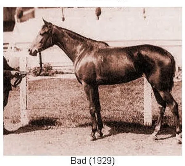 BAD