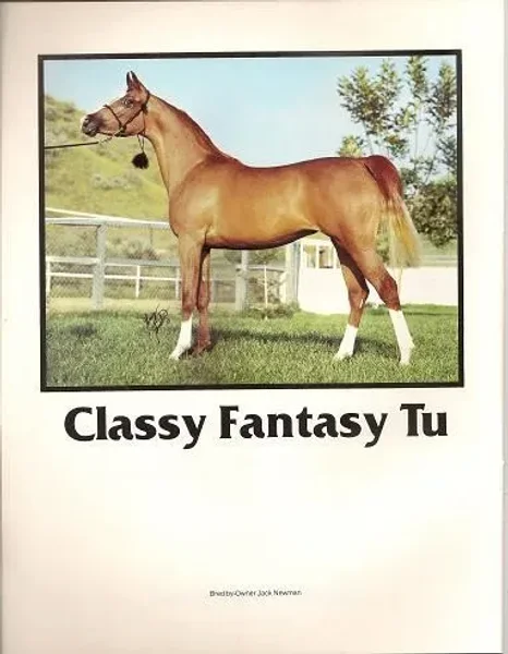 CLASSY MCCOY