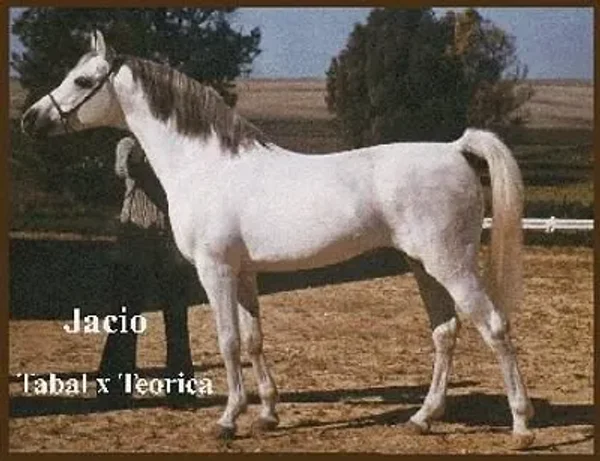 JACIO