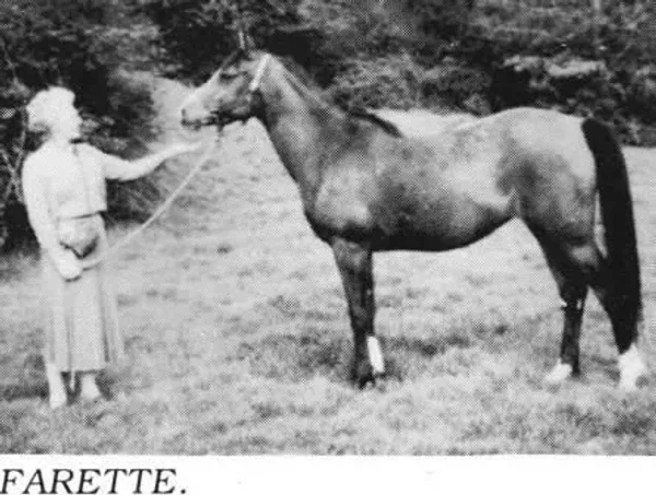 Farette