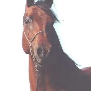 Saklia