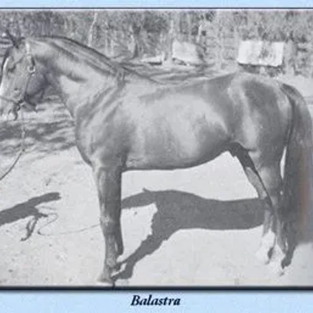 BALASTRA