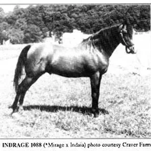 INDRAGE