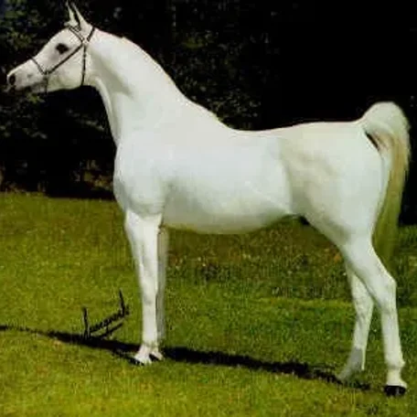 THEEGYPTIANPRINCE