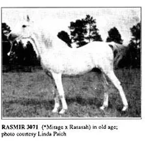 RASMIR