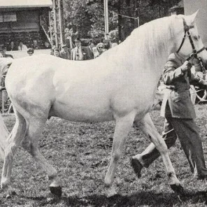 Sahran