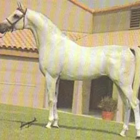 KELLO-GWALOR