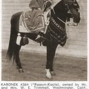 KARONEK