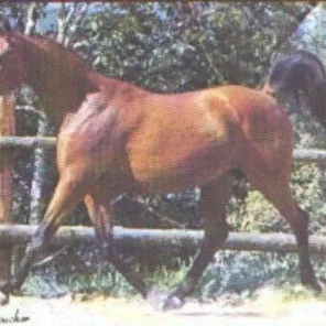 	*ALDEBARAN II