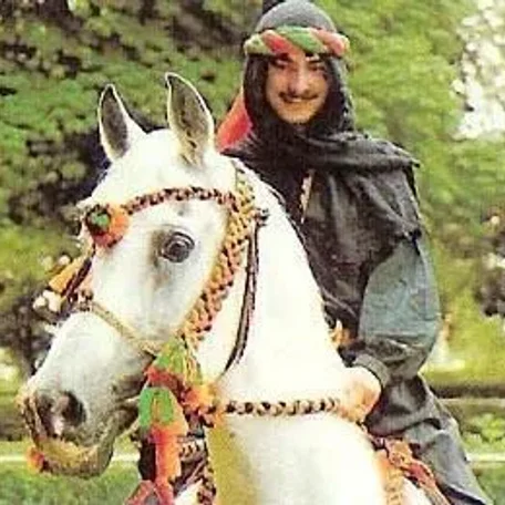 Sarwat