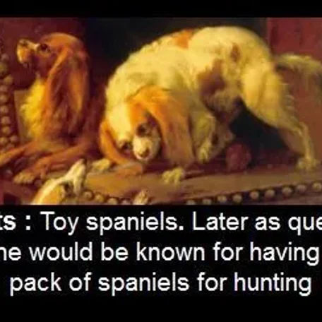 Pets of the Tudors and English Aristocracy