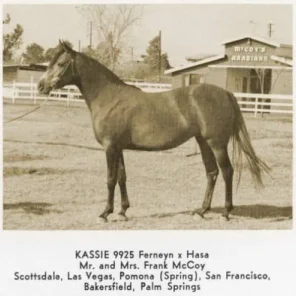 Kassie
