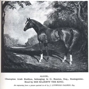 Algol