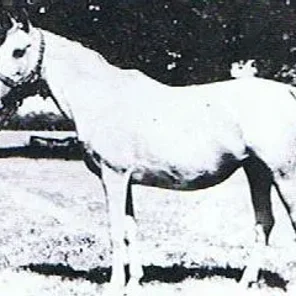 FANFARONA