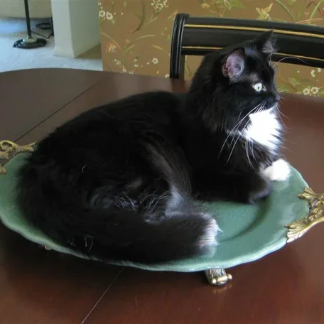 How do you like your new centerpiece, Mom