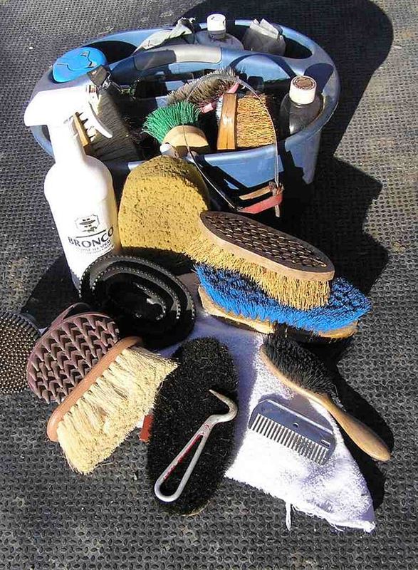 Horse Care - Grooming