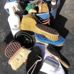 Horse Care - Grooming