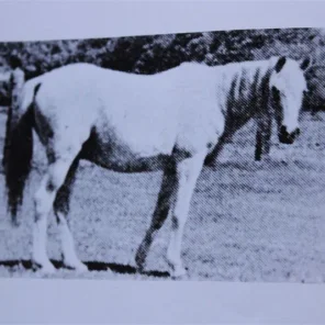 Ralouma