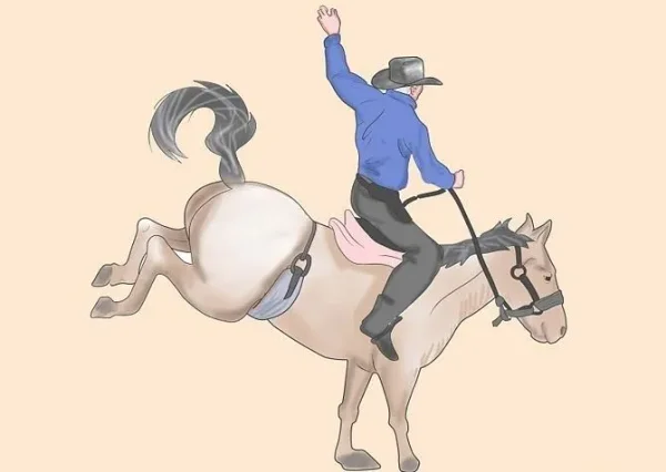 Riding Disciplines and Equestrian Styles - which one is right for you