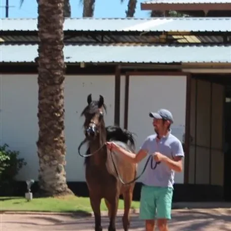 
Ymaj and his person Lucho Guimaraes.
