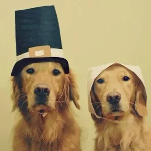 Your Favorite Thanksgiving Pics/Videos