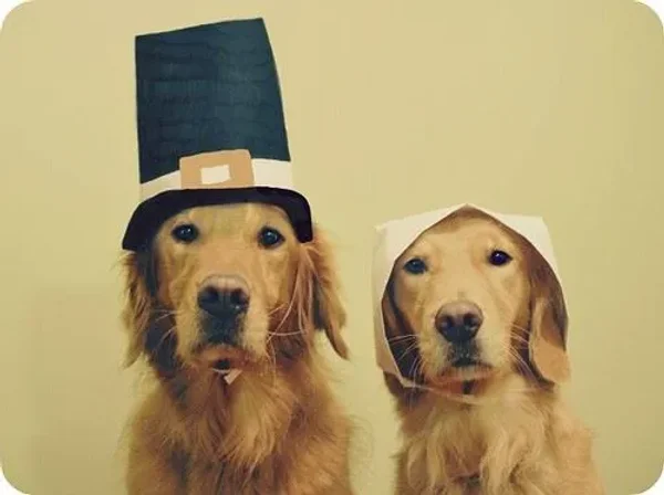 Mr and Mrs Ruffster